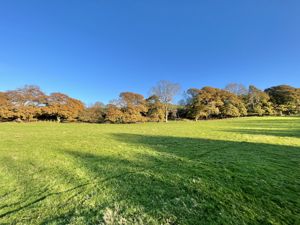 Photo 54- click for photo gallery